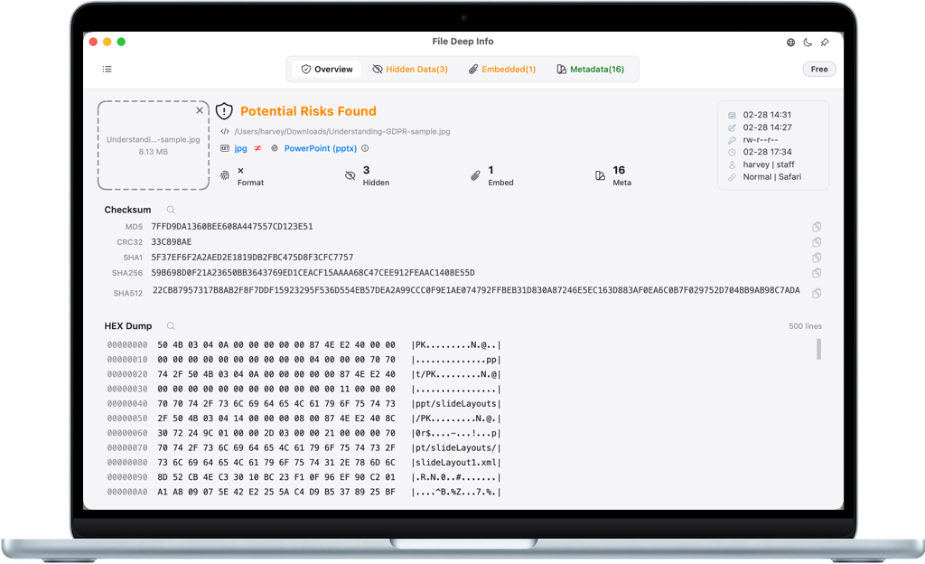 File Deep Info App Screenshot