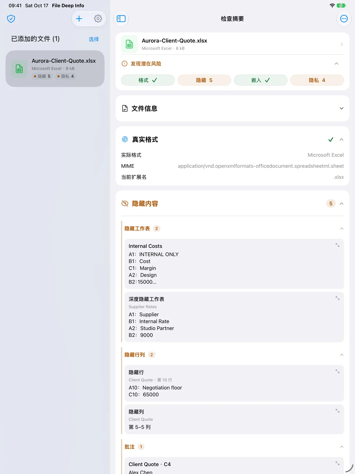 iPad · 檔案清單與檢查詳情並排查看