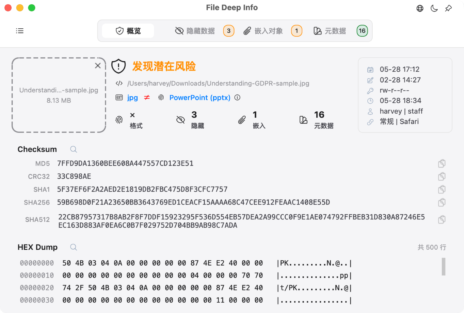 File Deep Info 文件概览与风险检查界面